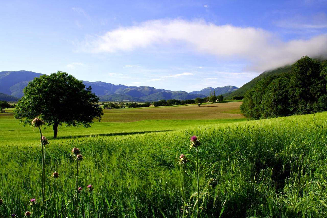 Agriturismo La Cascina Di Opaco Norcia Buitenkant foto