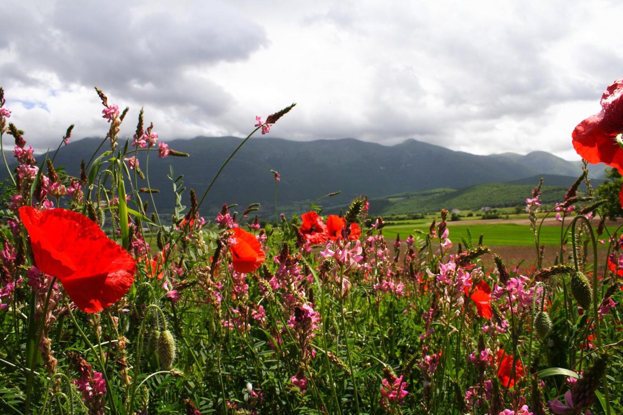 Agriturismo La Cascina Di Opaco Norcia Buitenkant foto