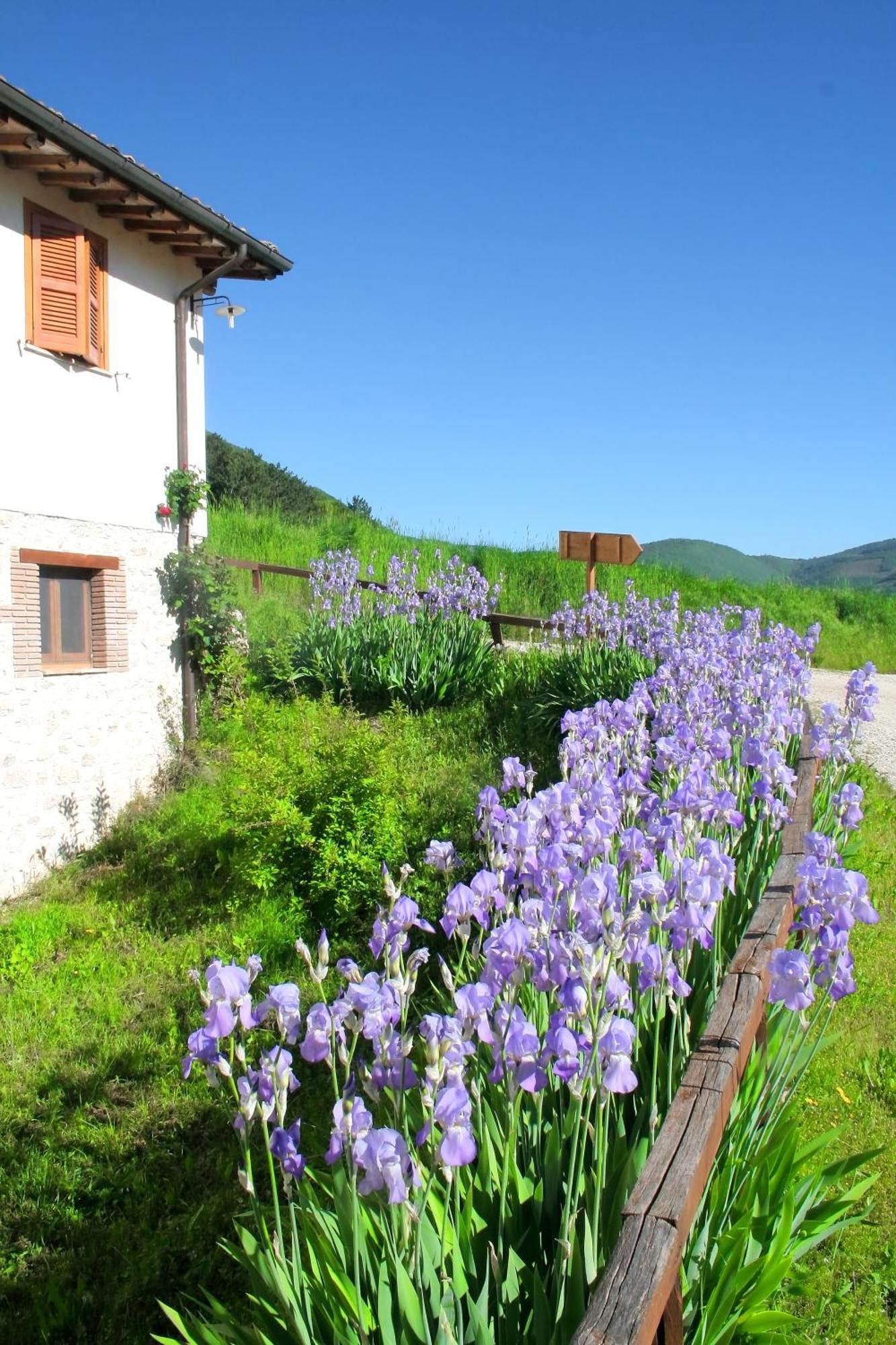 Agriturismo La Cascina Di Opaco Norcia Buitenkant foto